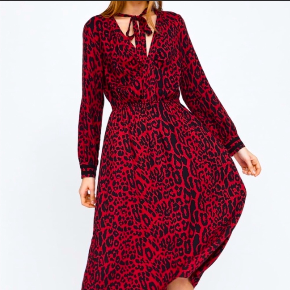 Zara Red Leopard Dress